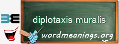 WordMeaning blackboard for diplotaxis muralis